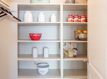 Pantry with shelves